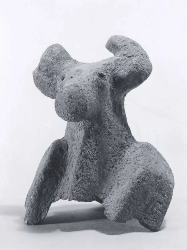 Bull's head — تصویر رکورد موزهٔ متروپولیتن (دسترسی آزاد)