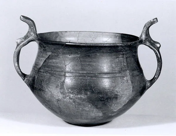 Bowl — تصویر رکورد موزهٔ متروپولیتن (دسترسی آزاد)