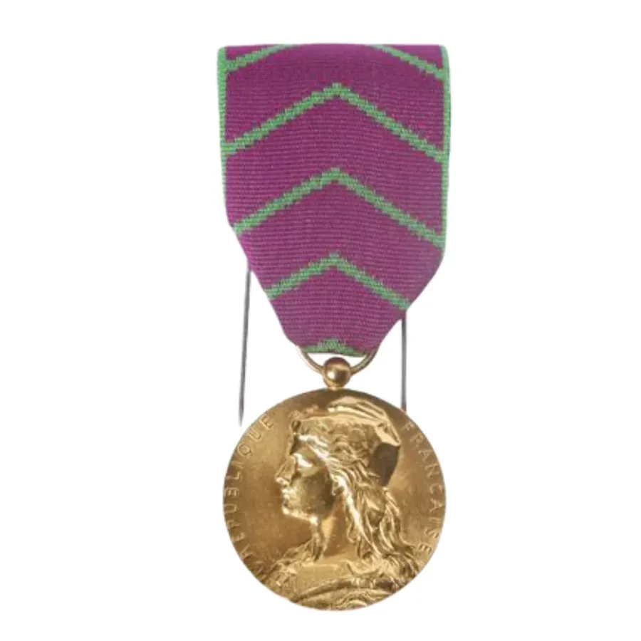 Medal of Honour of the judicial protection of youths — تصویر رکورد ویکی‌داده