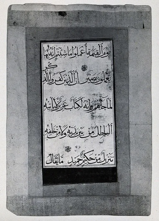 Writing on back of Persian anatomical miniature — تصویر رکورد یوروپیانا