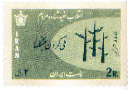 Stfo — تصویر از ویکی‌انبار