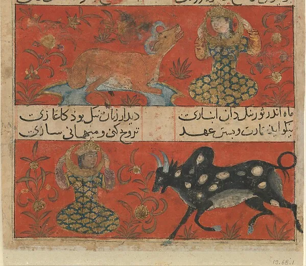 برگی از مونسالاحرار فی دقایقالاشعار جاجرمی — نمای تکمیلی ثبتشده در رکورد موزه