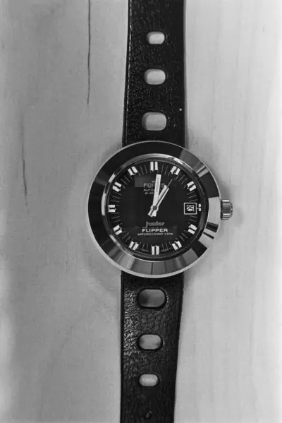 Wristwatch Flipper — تصویر رکورد یوروپیانا