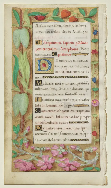 Leaf from a Book of Hours: Penitential Psalms — تصویر رکورد موزهٔ هنر کلیولند (دسترسی آزاد)