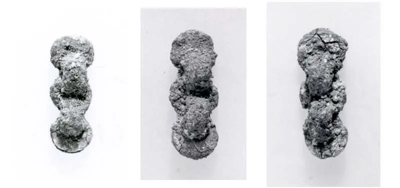 Harness or bridle fittings — تصویر رکورد موزهٔ متروپولیتن (دسترسی آزاد)