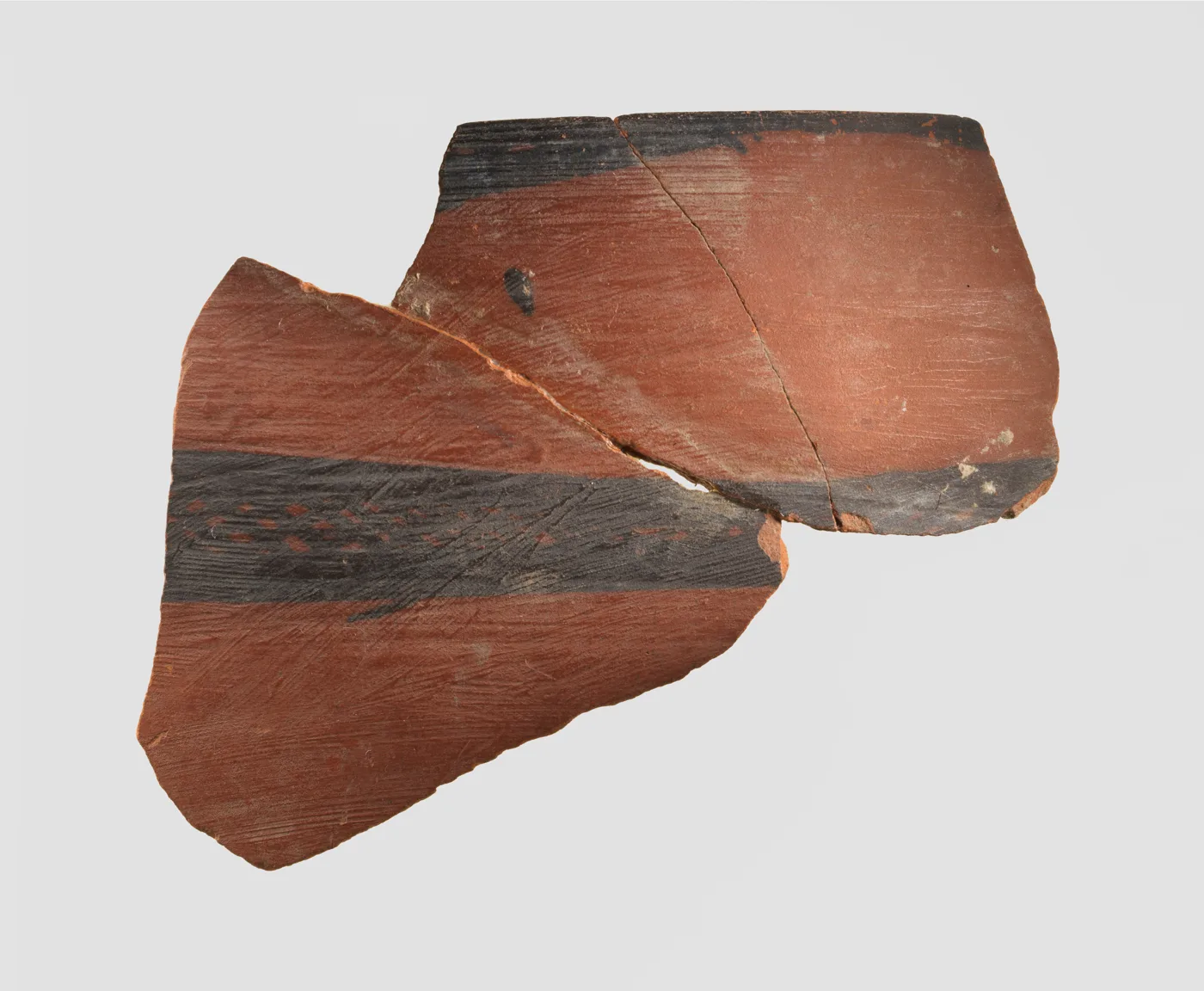 Sherd — تصویر رکورد موزهٔ متروپولیتن (دسترسی آزاد)