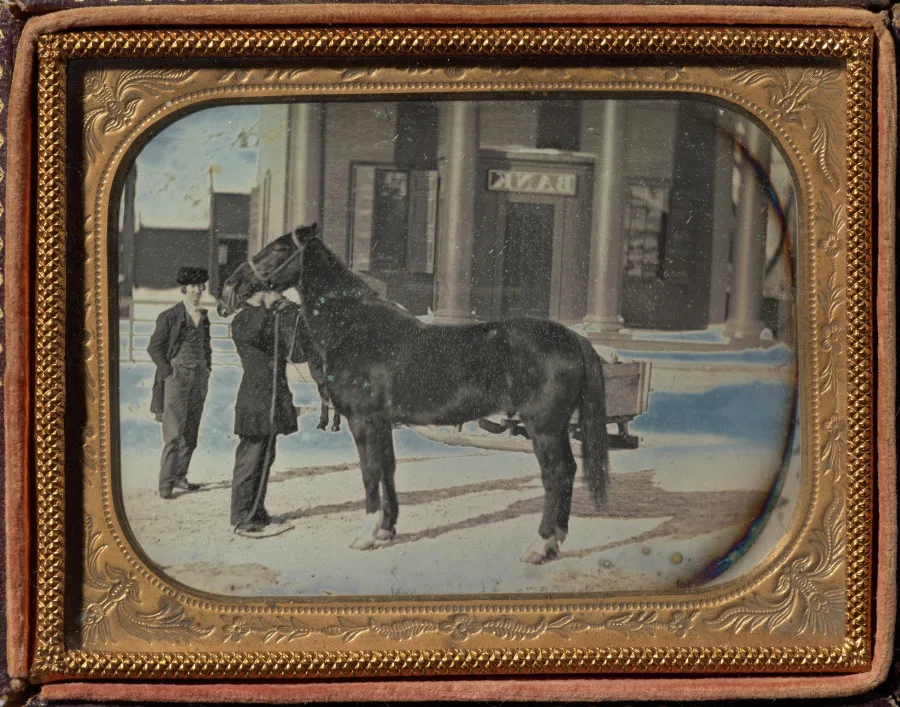 Prize Horse in winter, Chemung County, New York — تصویر رکورد موزهٔ هنر کلیولند (دسترسی آزاد)