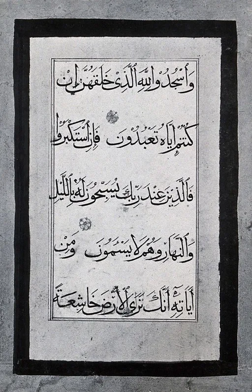 Writing on back of Persian anatomical miniature — تصویر رکورد یوروپیانا — شمارهٔ رکورد t4y8xfpp