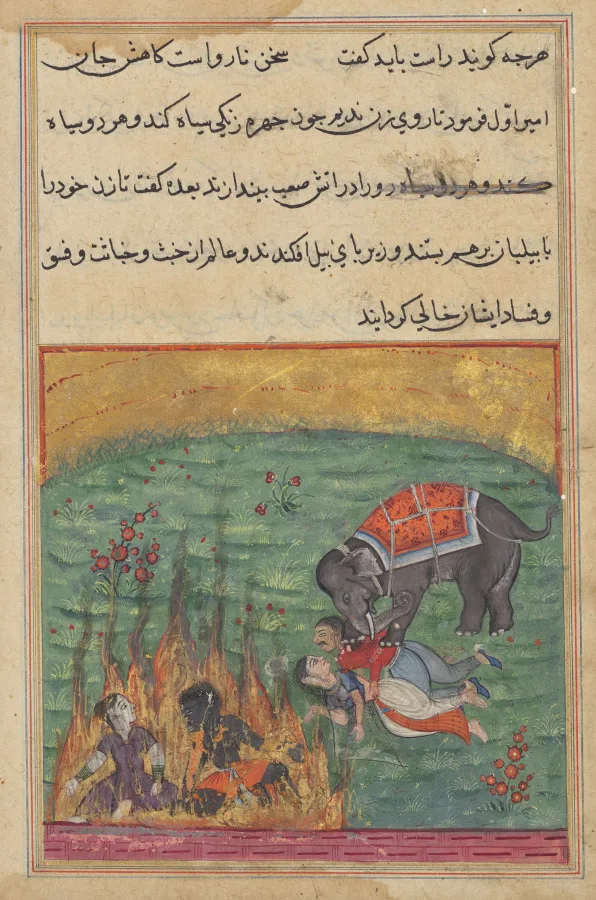 As punishment, the jester’s wife and the Zangi are thrown into fire and the emir’s wife and the mahout are trampled by an elephant, from a Tuti-nama (Tales of a Parrot), Twenty-second Night — تصویر رکورد موزهٔ هنر کلیولند (دسترسی آزاد)