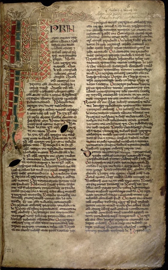 Book of Ballymote — تصویر رکورد ویکی‌داده