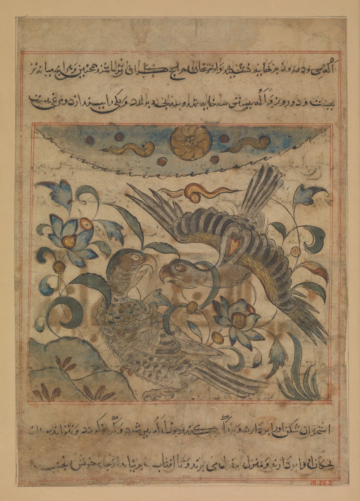 "Pair of Eagles", Folio from a Manafi' al-hayawan (On the Usefulness of Animals) of Ibn Bakhtishu' — تصویر رکورد موزهٔ متروپولیتن (دسترسی آزاد)