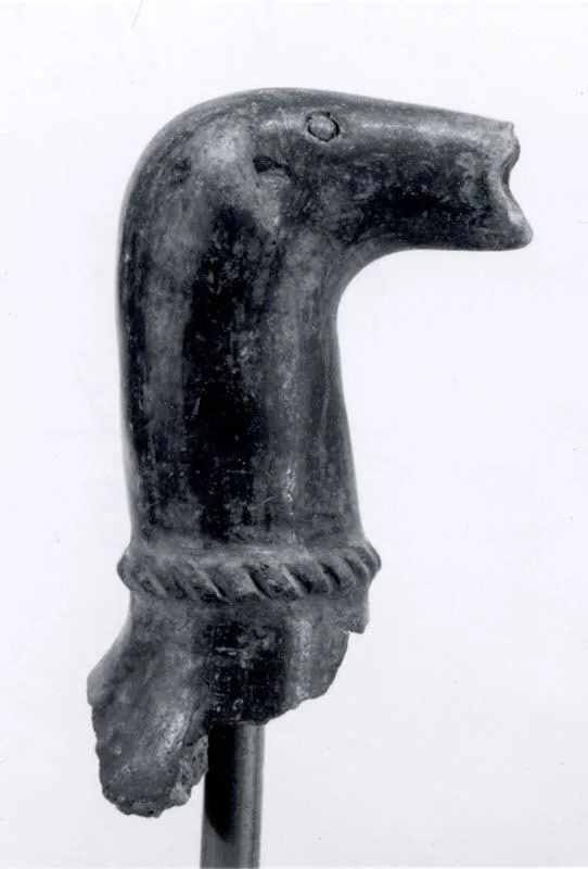Jar spout with animal head — تصویر رکورد موزهٔ متروپولیتن (دسترسی آزاد)