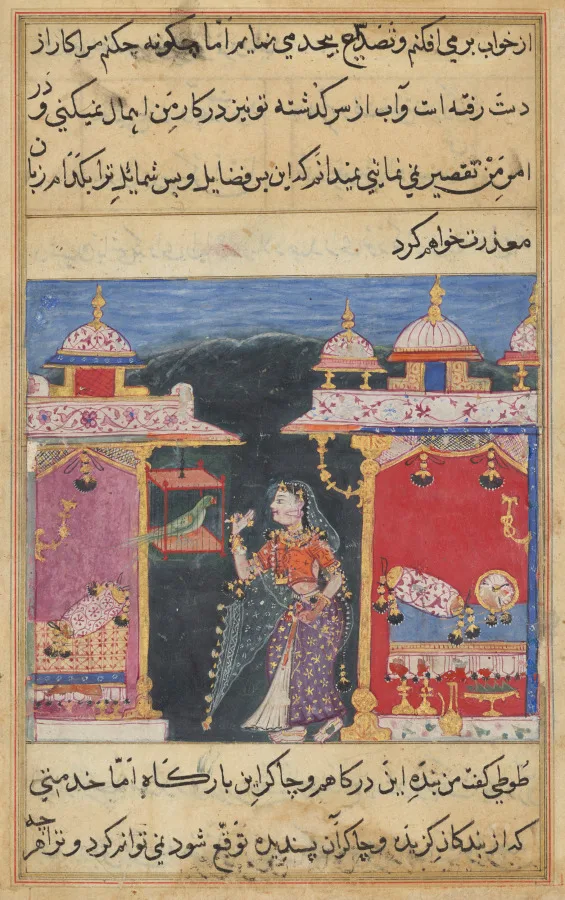 The Parrot Addresses Khujasta at the Beginning of the Seventh Night, from a Tuti-nama (Tales of a Parrot) — تصویر رکورد موزهٔ هنر کلیولند (دسترسی آزاد)