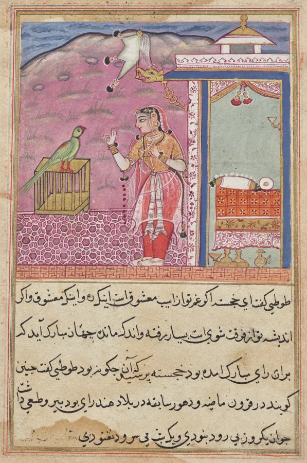 The parrot addresses Khujasta at the beginning of the forty-fourth night, from a Tuti-nama (Tales of a Parrot) — تصویر رکورد موزهٔ هنر کلیولند (دسترسی آزاد)