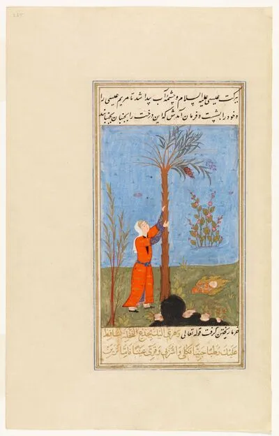 Maryam (Mary) at the palm tree with baby `Isa (Jesus), from Stories of the Prophets (Qiṣaṣ al-anbiyā), by Ishaq ibn Ibrahim al-Nishapuri. — تصویر رکورد یوروپیانا
