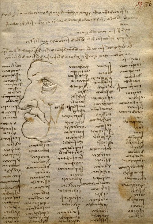 Codex Trivulzianus — تصویر رکورد ویکیداده