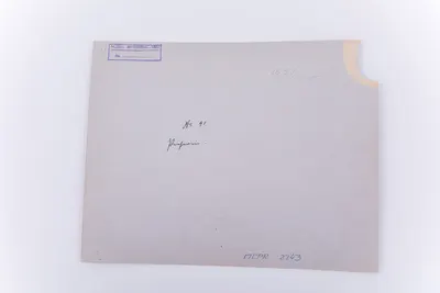 Fotografie de atelier cu elemente de recuzită: covoare, vas metalic. Prezintă o tânără în costm iranian, din timpul erei Qajar. Aceasta este surprinsă întinsă pe un covor, cu mâna stângă la tâmplă. Ac — تصویر رکورد یوروپیانا
