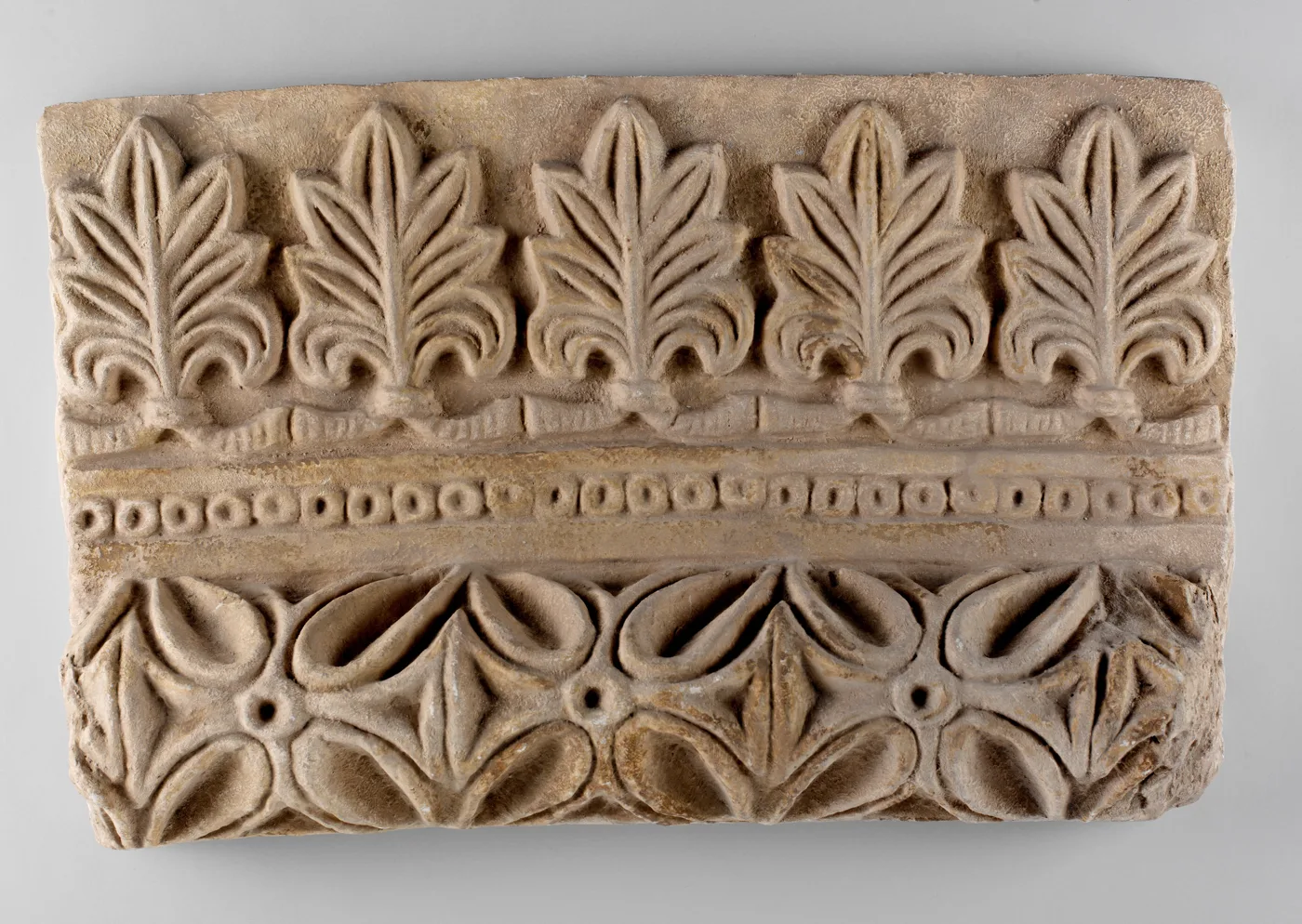 Wall decoration with vegetal and geometric design — تصویر رکورد موزهٔ متروپولیتن (دسترسی آزاد)