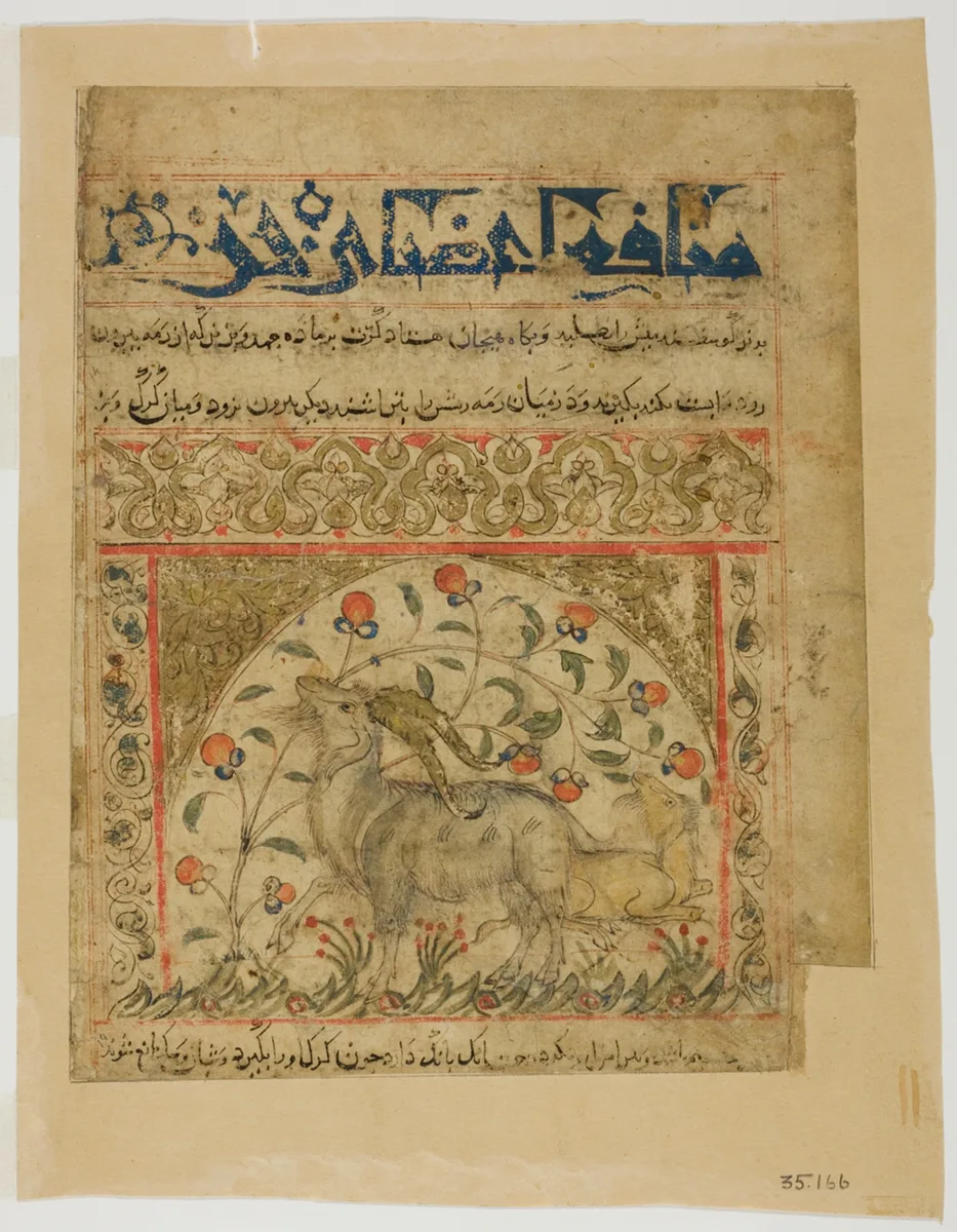 Two Goats from Manafi' al-Hayawan (On the Usefulness of Animals) of Ibn Bakhtishu' — تصویر رکورد مؤسسهٔ هنر شیکاگو (دسترسی آزاد)