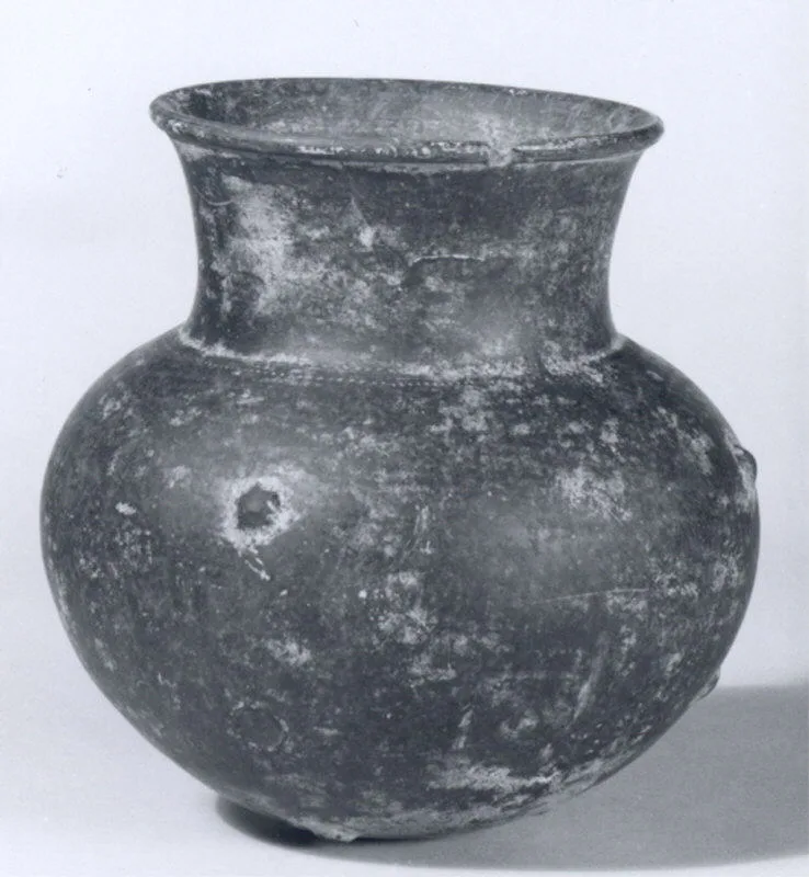 Jar — تصویر رکورد موزهٔ متروپولیتن (دسترسی آزاد)