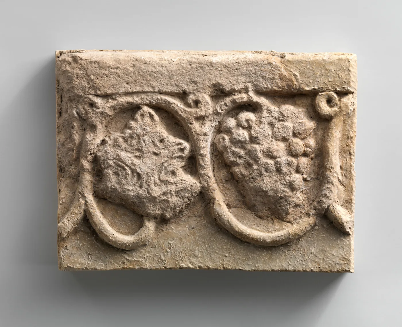 Wall decoration with a grapevine — تصویر رکورد موزهٔ متروپولیتن (دسترسی آزاد)