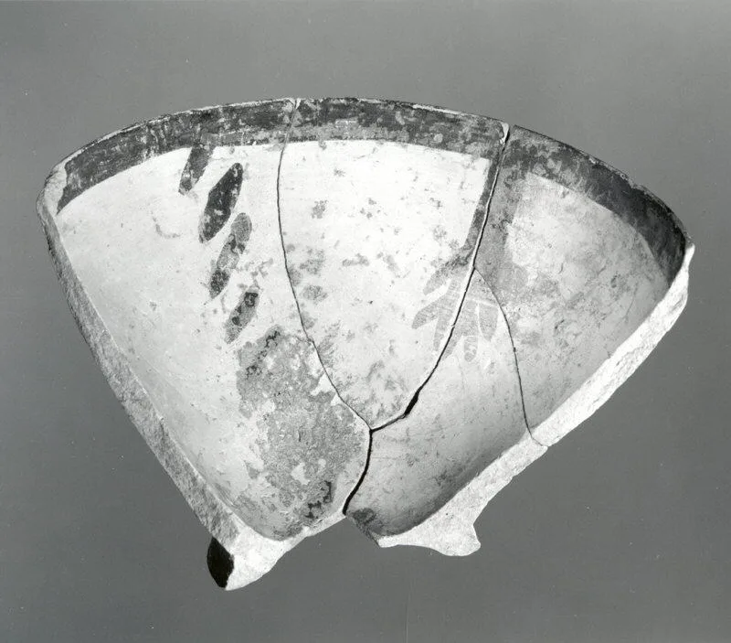 Bowl — تصویر رکورد موزهٔ متروپولیتن (دسترسی آزاد)