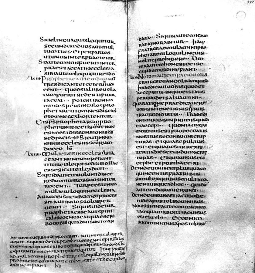 Codex Fuldensis — تصویر رکورد ویکیداده