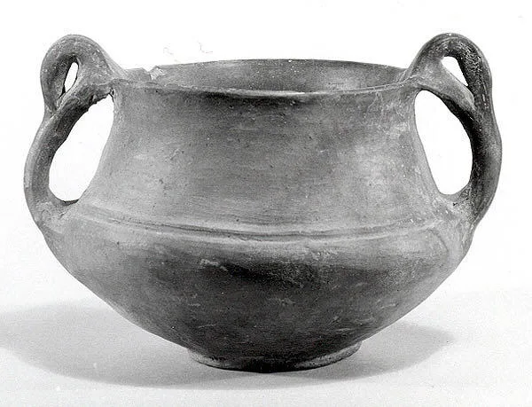 Bowl with handles — تصویر رکورد موزهٔ متروپولیتن (دسترسی آزاد)