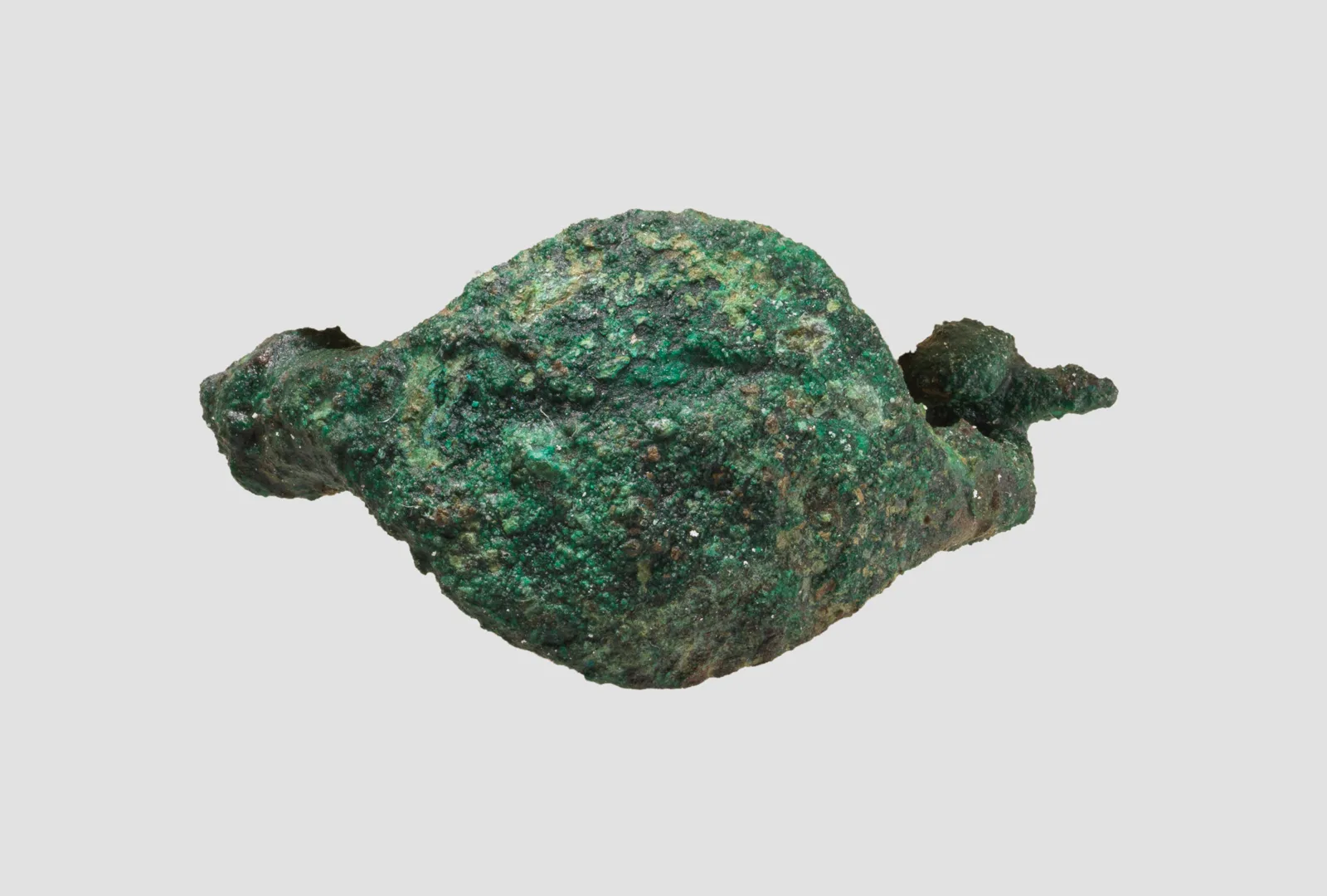 Fibula — تصویر رکورد موزهٔ متروپولیتن (دسترسی آزاد)