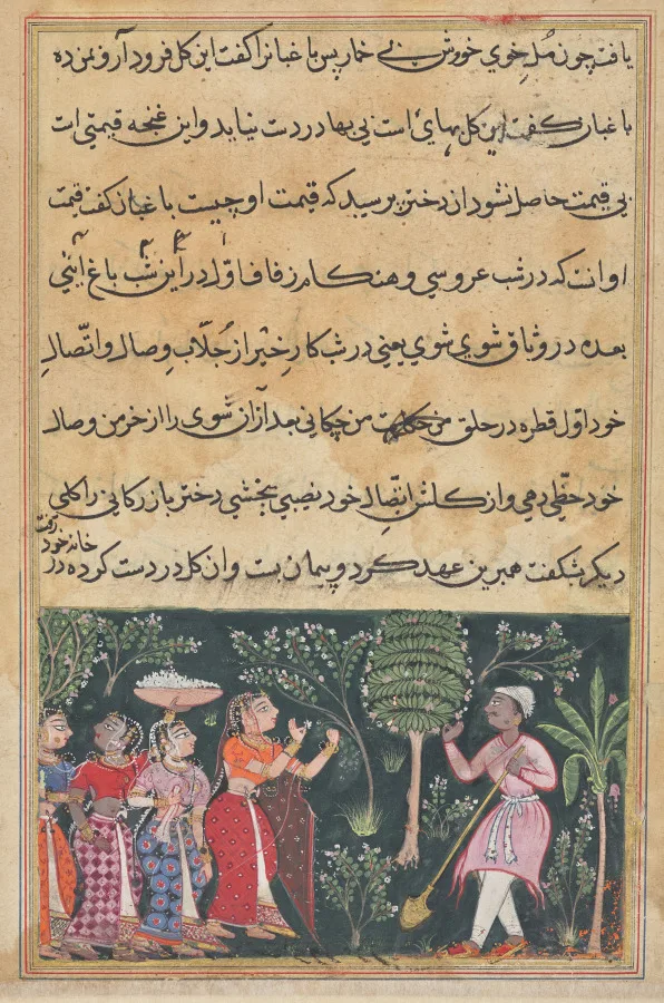 The daughter of the merchant of Mazanderan asks the gardener for the rose, from a Tuti-nama (Tales of a Parrot): Twelfth Night — تصویر رکورد موزهٔ هنر کلیولند (دسترسی آزاد)