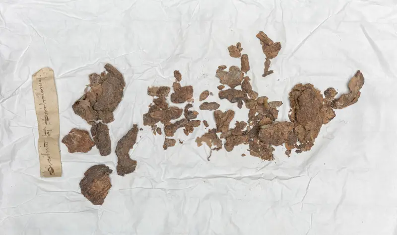 Relic of St. Bartholomew — تصویر رکورد موزهٔ هنر کلیولند (دسترسی آزاد)