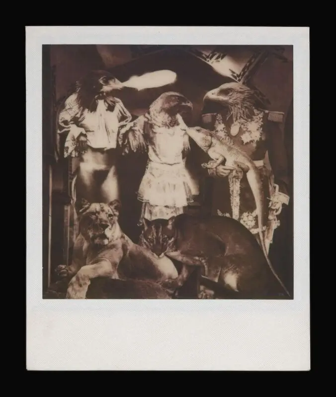 Photograph: Untitled from the Az Div o Dad series — تصویر رکورد موزهٔ ویکتوریا و آلبرت — شمارهٔ رکورد PH.464-2024
