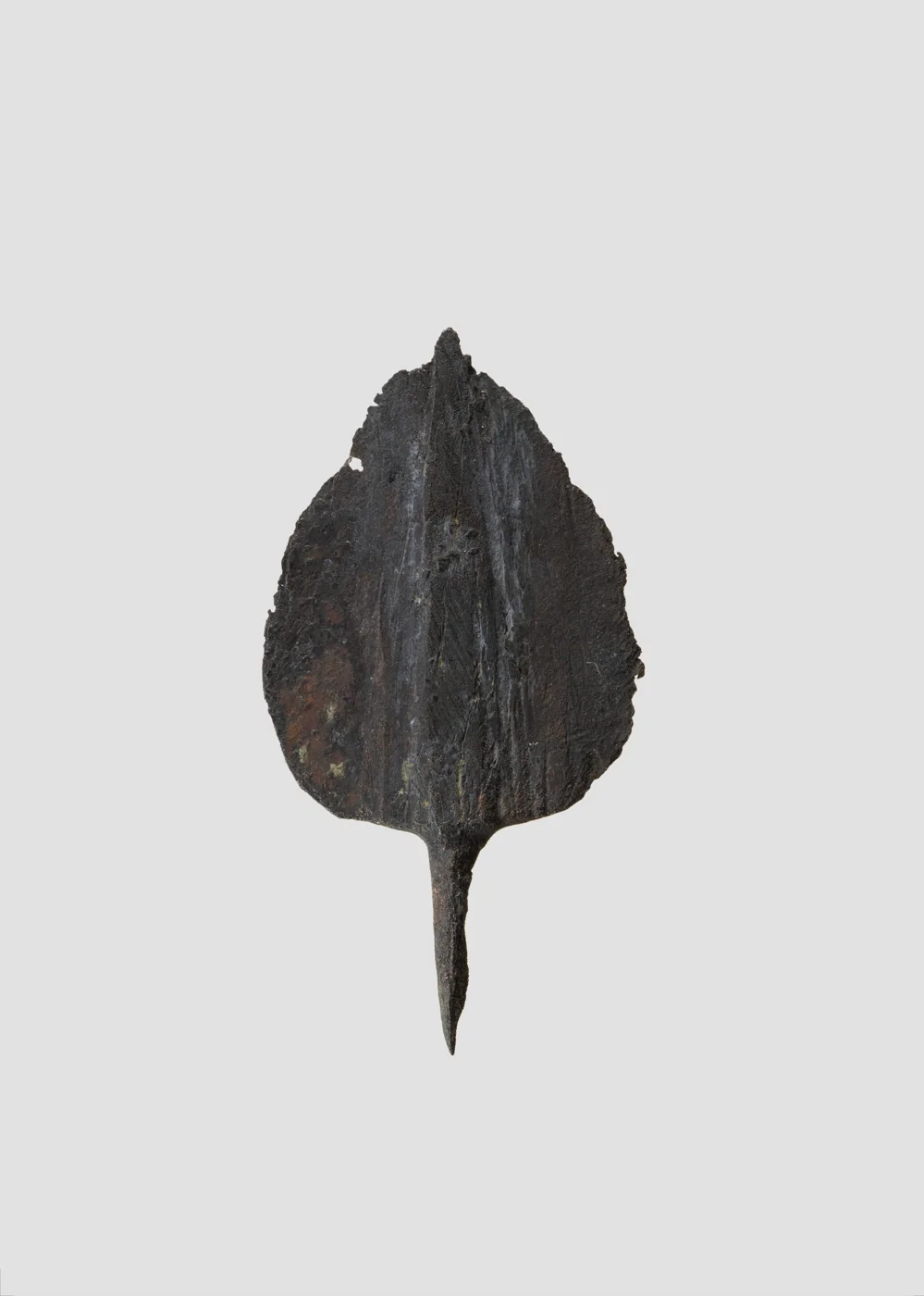 Arrowhead — تصویر رکورد موزهٔ متروپولیتن (دسترسی آزاد)