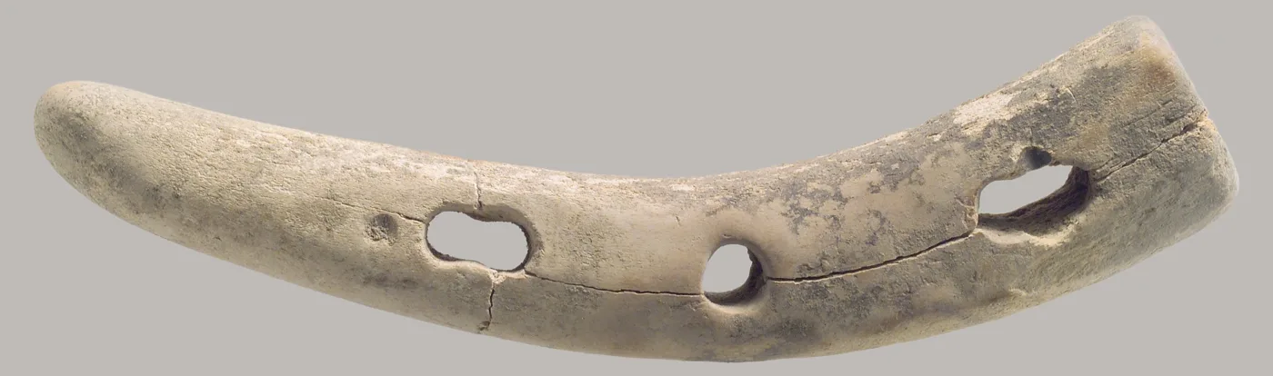 Horse bit cheekpiece — تصویر رکورد موزهٔ متروپولیتن (دسترسی آزاد)