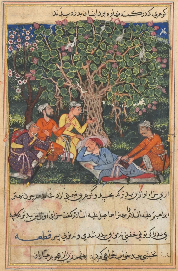 The street cleaner, on his way to meet King Bhojaraja, sleeps under a tree where four thieves disguised as fellow travelers deprive him of a priceless pearl, from a Tuti-nama (Tales of a Parrot): Twelfth Night — تصویر رکورد موزهٔ هنر کلیولند (دسترسی آزاد)