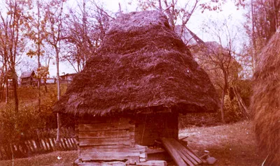 Coteț pentru porci, sat Cărpiniș, com. Copalnic-Mânăștur, jud. Maramureș (1967) — تصویر رکورد یوروپیانا