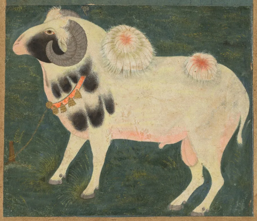 A royal ram with a gold chain — تصویر رکورد موزهٔ هنر کلیولند (دسترسی آزاد)
