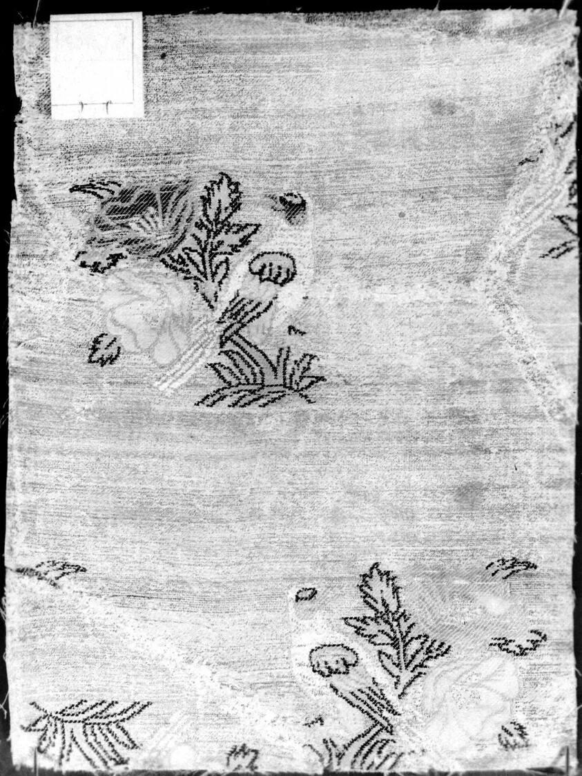 Panel (Dress Fabric) — تصویر رکورد مؤسسهٔ هنر شیکاگو (دسترسی آزاد)