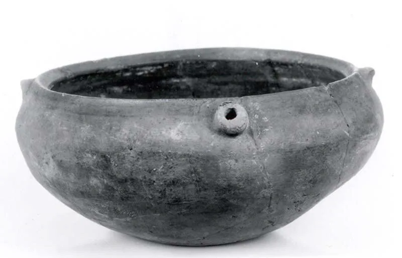 Bowl — تصویر رکورد موزهٔ متروپولیتن (دسترسی آزاد)
