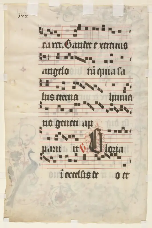 Leaf from an Antiphonary: Text (verso) — تصویر رکورد موزهٔ هنر کلیولند (دسترسی آزاد)