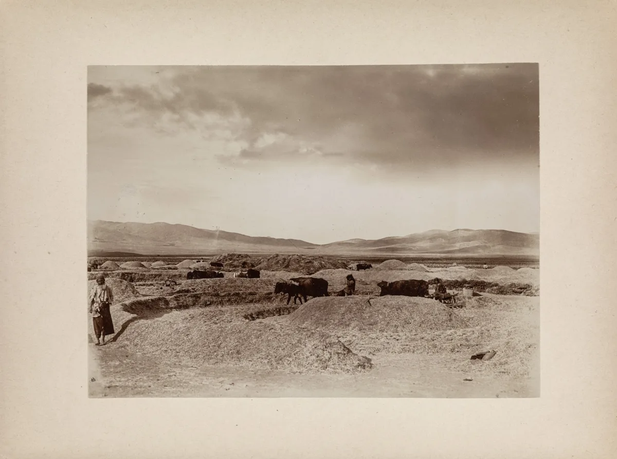 Dreschplatz near Nahavand (Vorasienexpedition 1906-1907 - 4 Persia 1907) — تصویر رکورد یوروپیانا