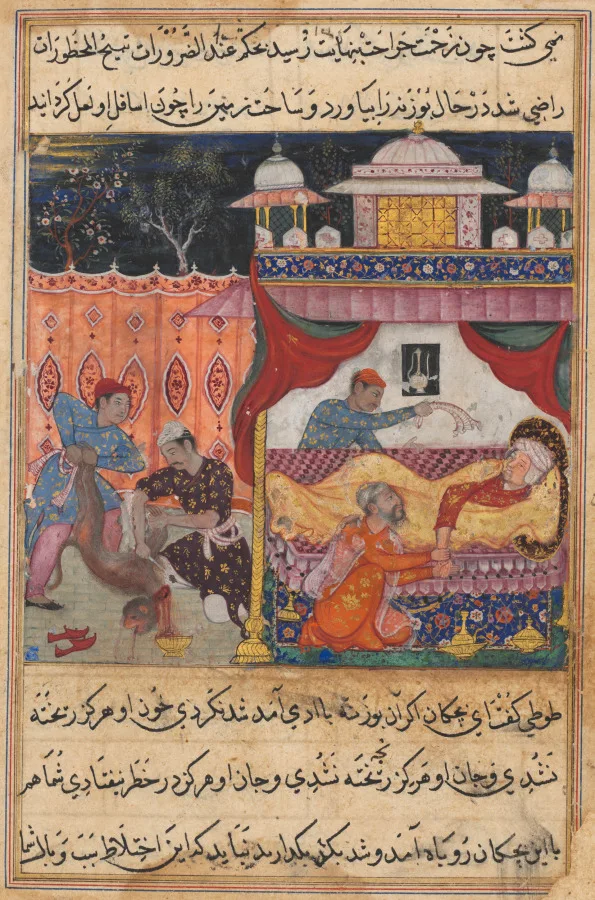 The monkey slain, his blood to be used as medicine for the ailing prince he has bitten, from a Tuti-nama (Tales of a Parrot): Fifth Night — تصویر رکورد موزهٔ هنر کلیولند (دسترسی آزاد)