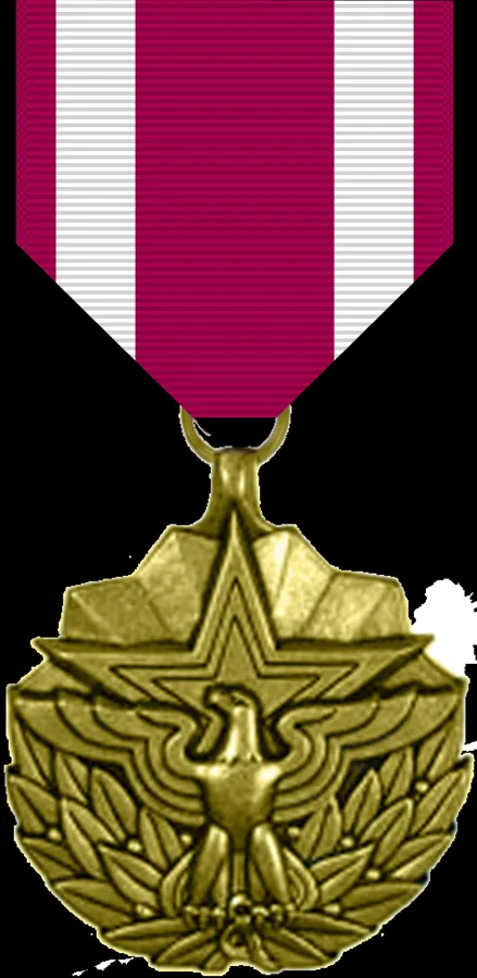 Meritorious Service Medal — تصویر رکورد ویکی‌داده