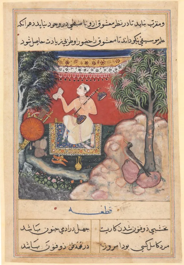 The origin of music from a fabulous bird of India which had seven holes in its beak, from a Tuti-nama (Tales of a Parrot): Fourteenth Night — تصویر رکورد موزهٔ هنر کلیولند (دسترسی آزاد)