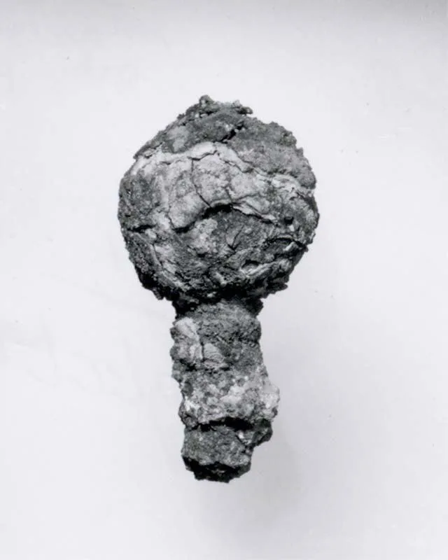 Mace head — تصویر رکورد موزهٔ متروپولیتن (دسترسی آزاد)