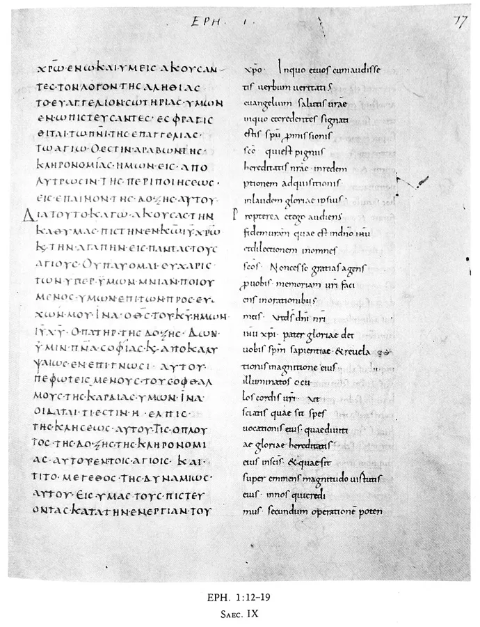 Codex Augiensis — تصویر رکورد ویکیداده