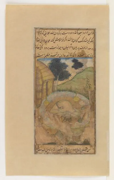 Yogi seated in the humped tortoise position (uttanakurmasana) (recto), and yogi seated in the sunasana position (verso), from the Ocean of Immortality (Bahr al-Hayat) — تصویر رکورد یوروپیانا