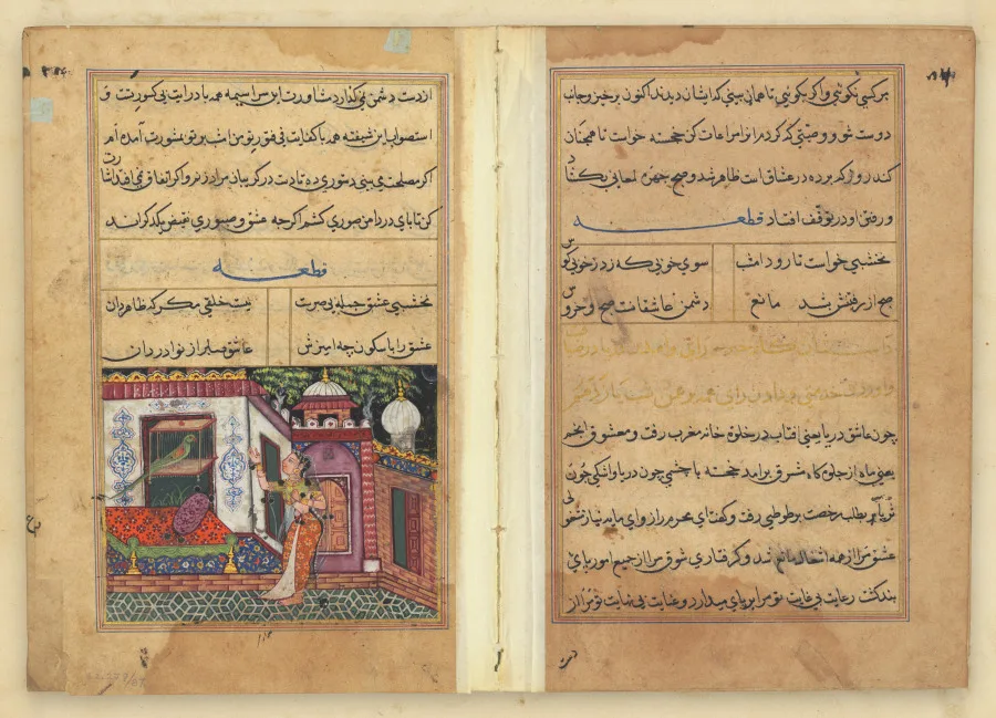 Tuti-Nama (Tales of a Parrot) — تصویر رکورد موزهٔ هنر کلیولند (دسترسی آزاد)