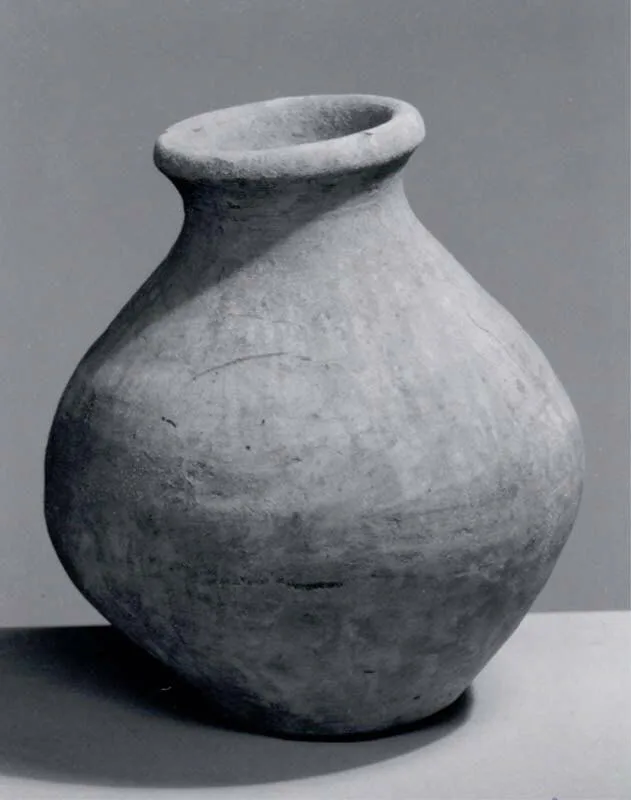 Jar — تصویر رکورد موزهٔ متروپولیتن (دسترسی آزاد)