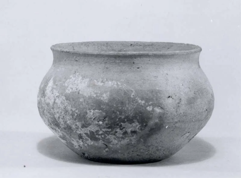 Jar — تصویر رکورد موزهٔ متروپولیتن (دسترسی آزاد)